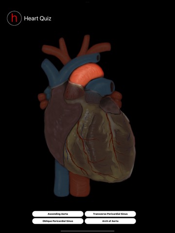 Human Heart Anatomy Quizのおすすめ画像2