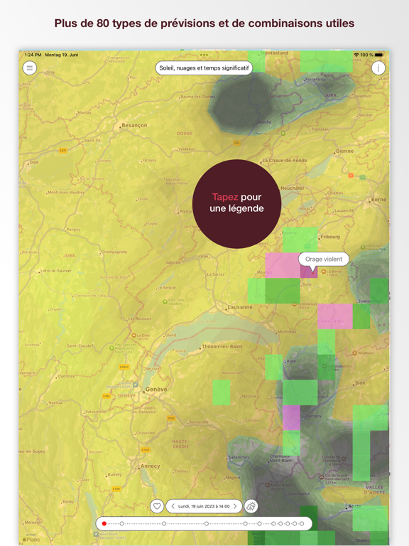 Screenshot #5 pour Pflotsh ECMWF