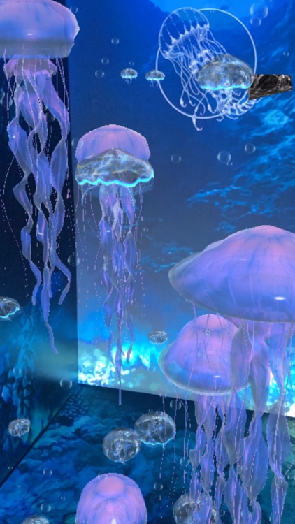 Arcadia Earth AR Toronto