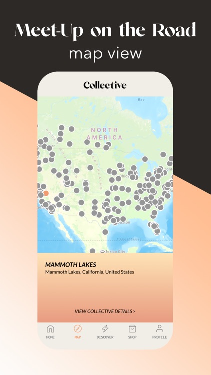 Collective by The Litas screenshot-3