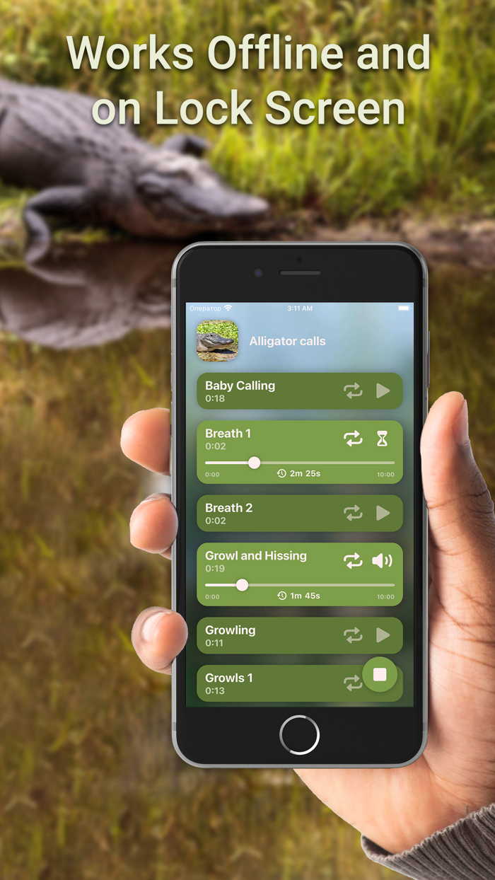 Hunting Calls Alligator Croc