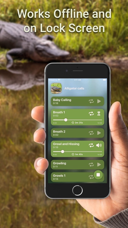 Hunting Calls: Alligator Croc