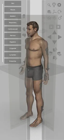 Game screenshot Introdução Anatomia Humana 3D apk