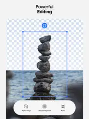 background eraser - piccutout ipad bildschirmfoto 3