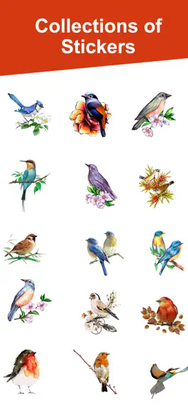 Game screenshot Water Color Birds apk