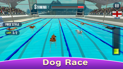 Dog Swimming Race Screenshot