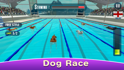 Dog Swimming Raceのおすすめ画像6