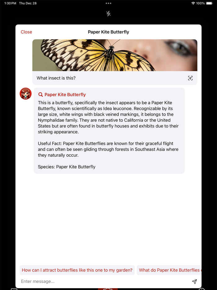 Insect Identifier AI Scanner