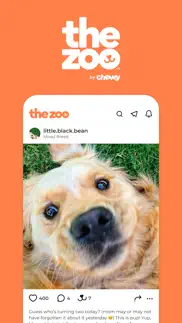 zoo by chewy - pet community iphone screenshot 1