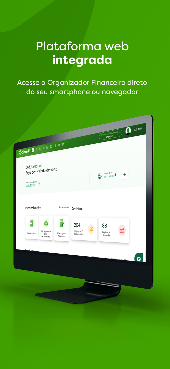 Organizador Financeiro