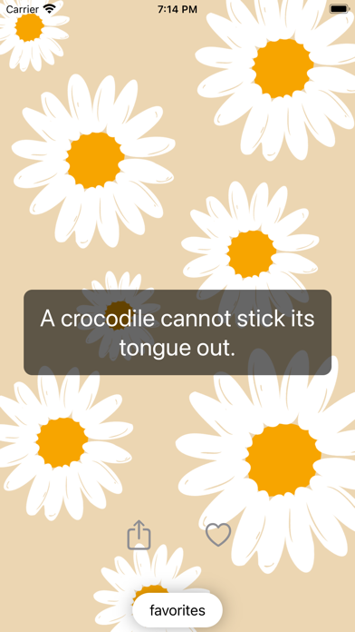 Pocket Factz Screenshot