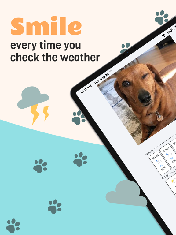 Daily Weather Pup - Forecast screenshot 7