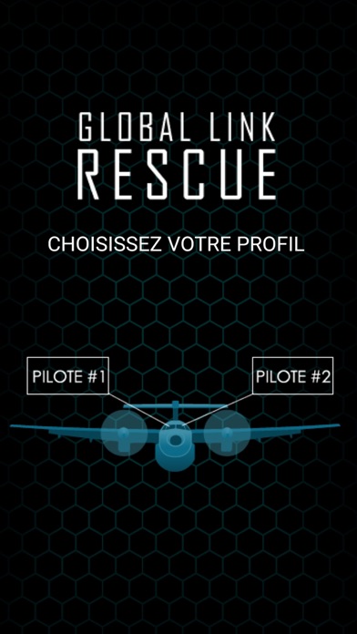 Screenshot #2 pour Global Link Rescue - AFF