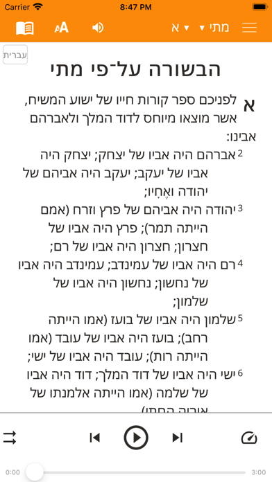 Hebrew New Testament Bible Screenshot