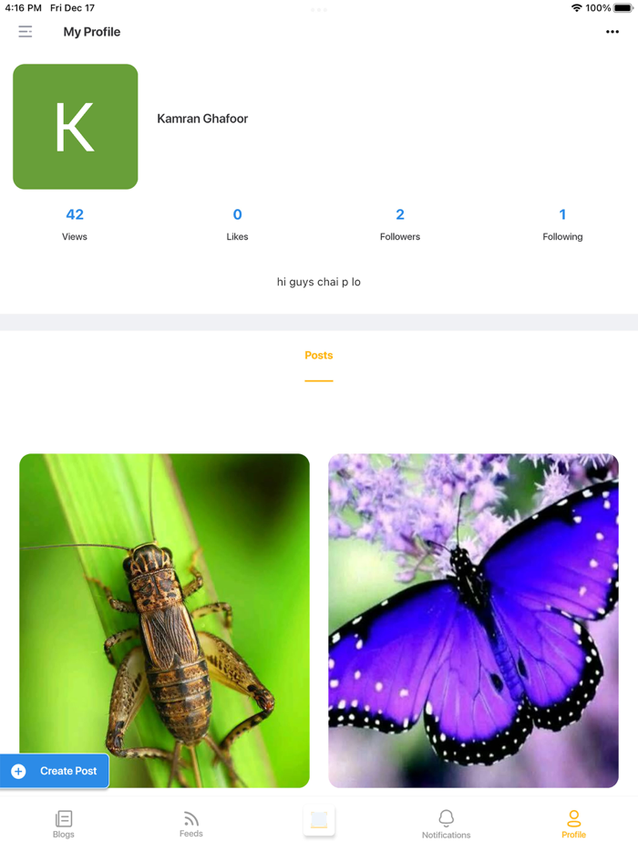 Insect photo Identifier AI