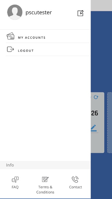 Brannen Bank Credit Card Screenshot