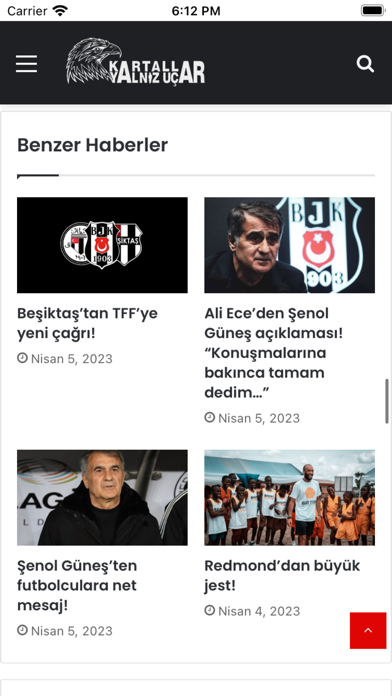 Kartallar Yalnız Uçar Screenshot