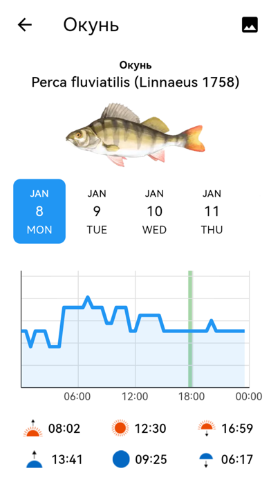 Fisherman's Watch Screenshot