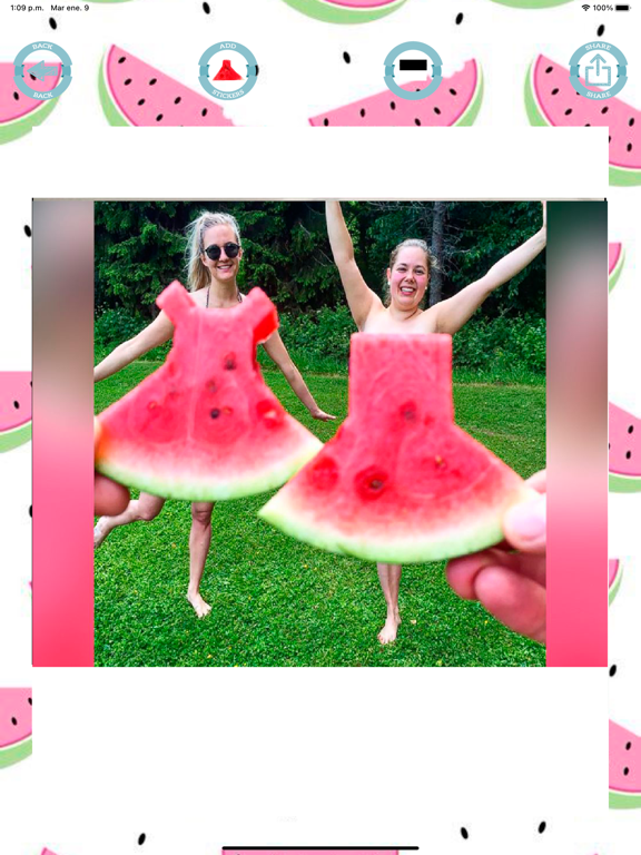 Watermelon dress stickers iPad screenshot 4 - Photo & Video app