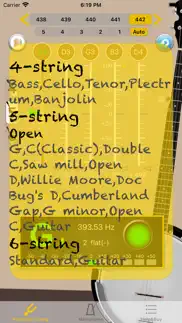 banjotuner - tuner for banjo problems & solutions and troubleshooting guide - 4