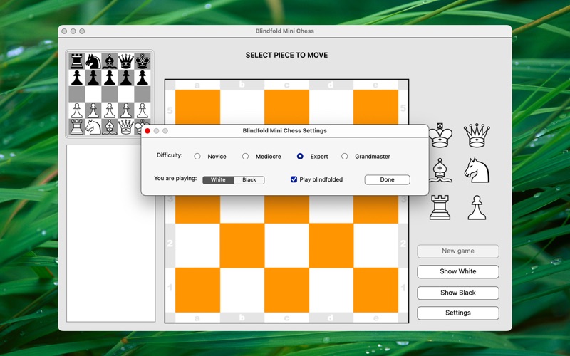 blindfold mini chess iphone screenshot 3