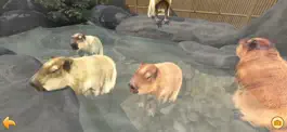 Game screenshot Capybara Spa mod apk