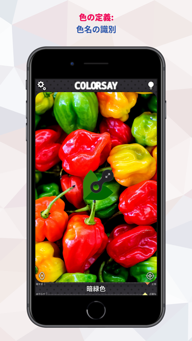 ColorSay • カラースキャナーのおすすめ画像8