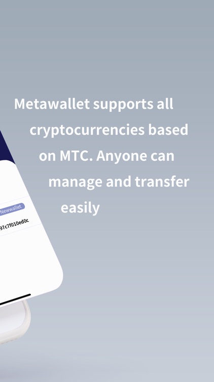 MetaWallet - Blockchain Wallet screenshot-3