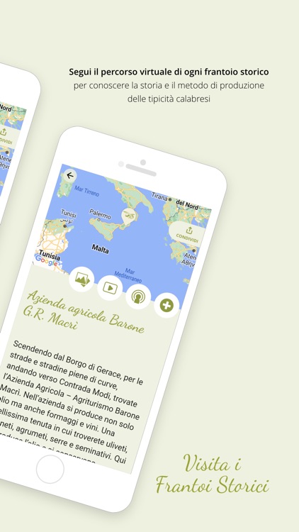 Museo dell’Olio screenshot-3