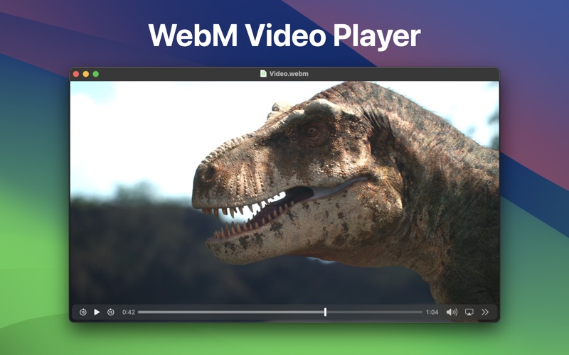 webm player - video plugin iphone screenshot 1