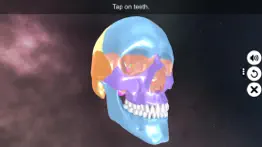 incredible human teeth iphone screenshot 1