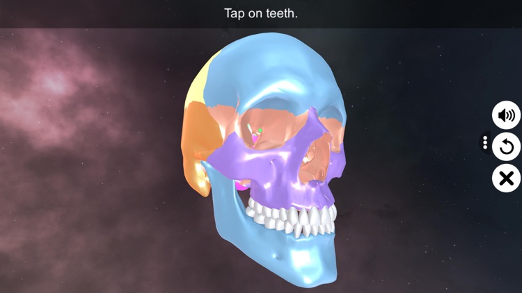 Incredible Human Teeth screenshot-0