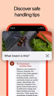 insect identifier: ai scanner iphone screenshot 2