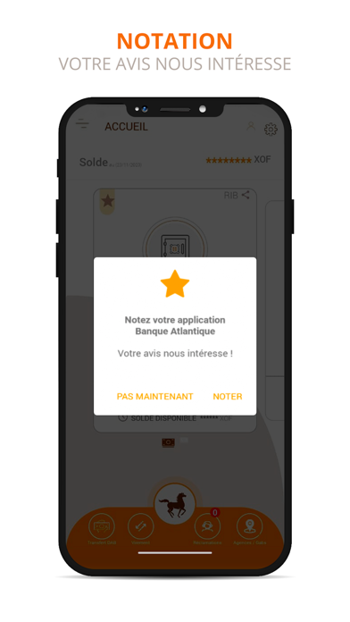BIA Niger Mobile Screenshot