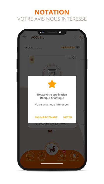 BIA Niger Mobile screenshot-6