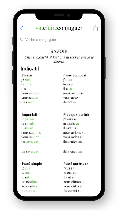 French Conjugation. Screenshot
