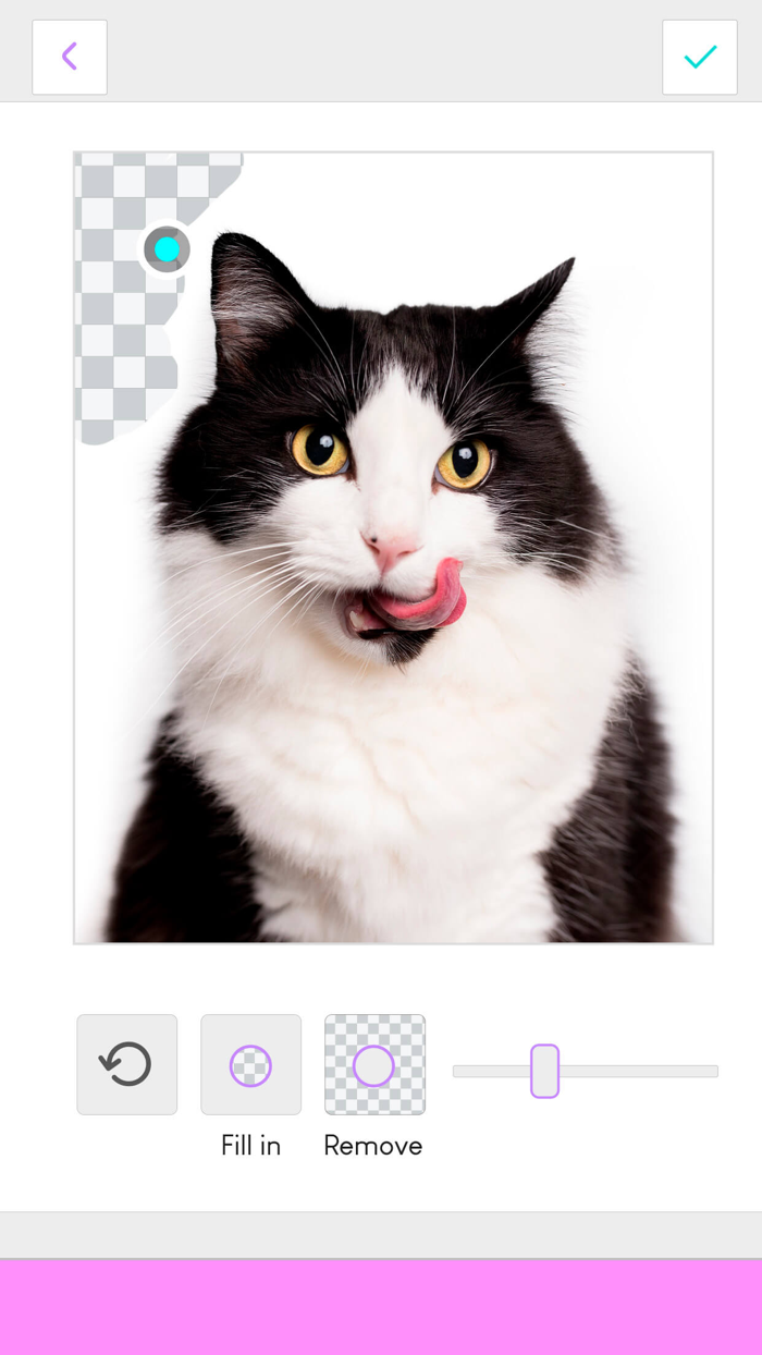 Cut and Paste – Photo Editor