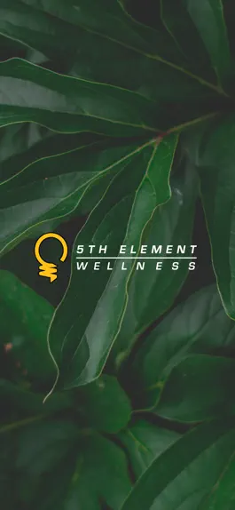 Game screenshot Fifth Element Wellness mod apk