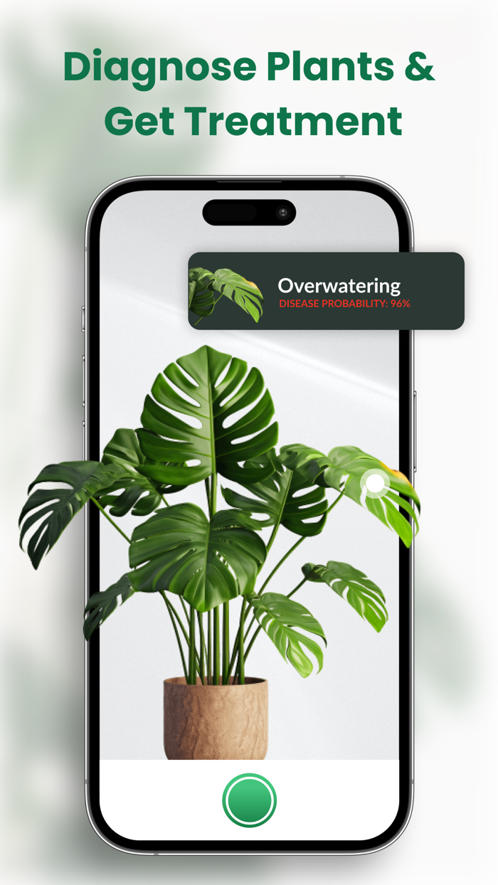 Plant ID and Disease Identifier