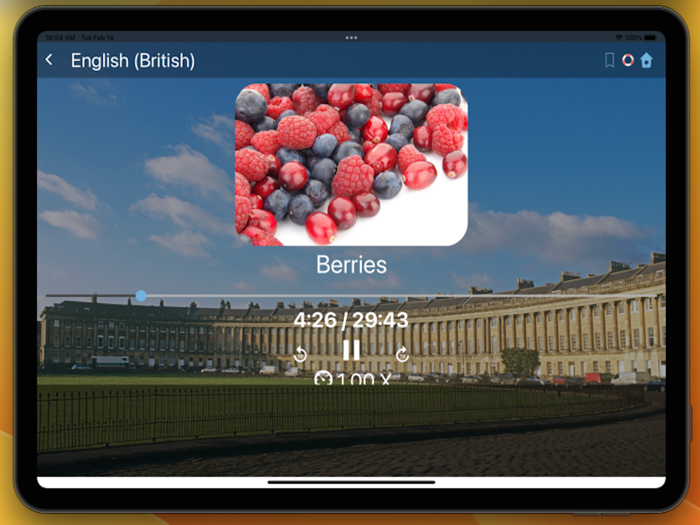 Bluebird English British