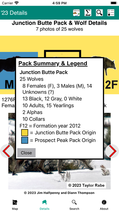 Yellowstone Wolves 2023 Screenshot