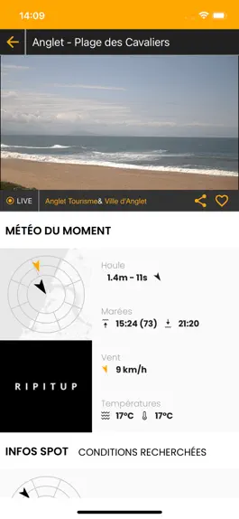 Game screenshot Gosurf hack