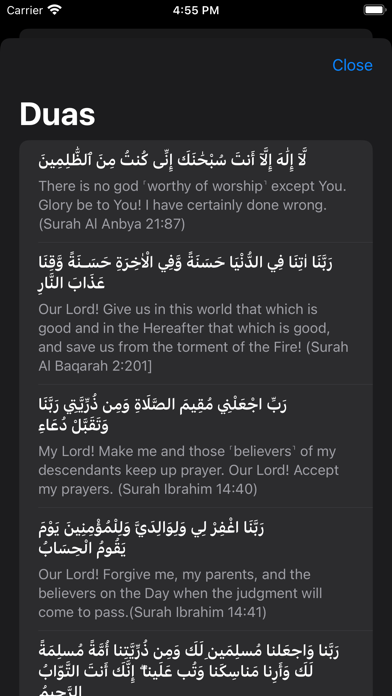 Dhikr Pro Screenshot