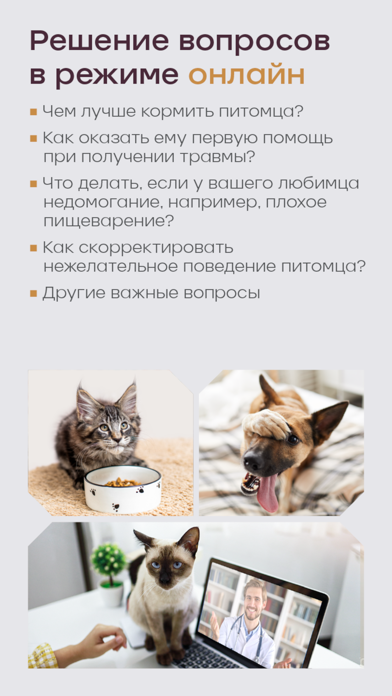 Мои Питомцы Screenshot