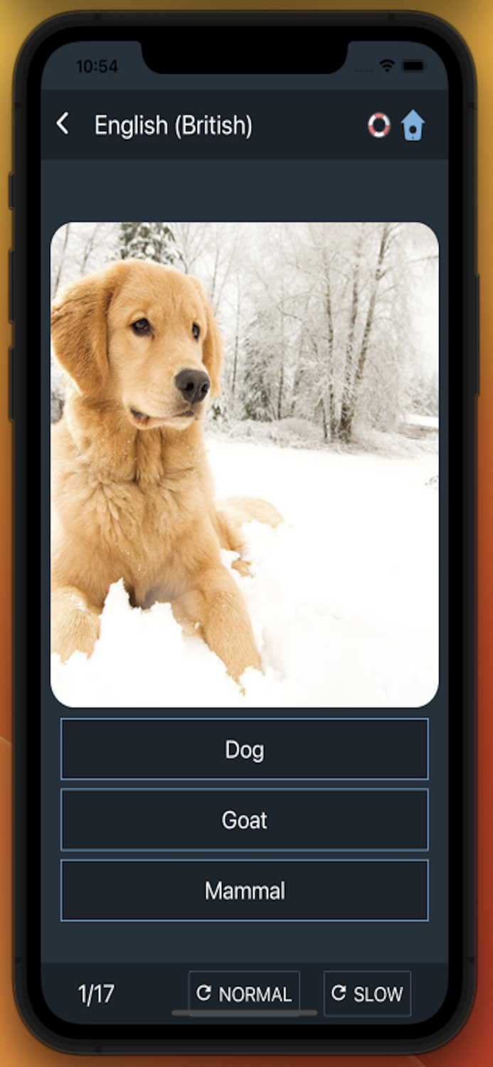 Bluebird English British