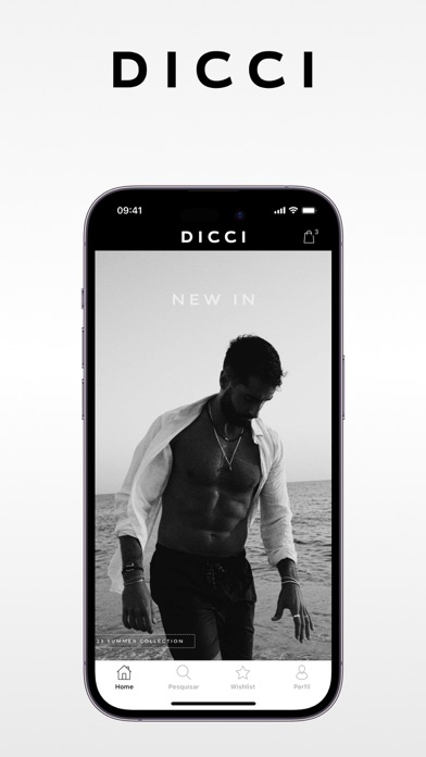 Dicci Screenshot