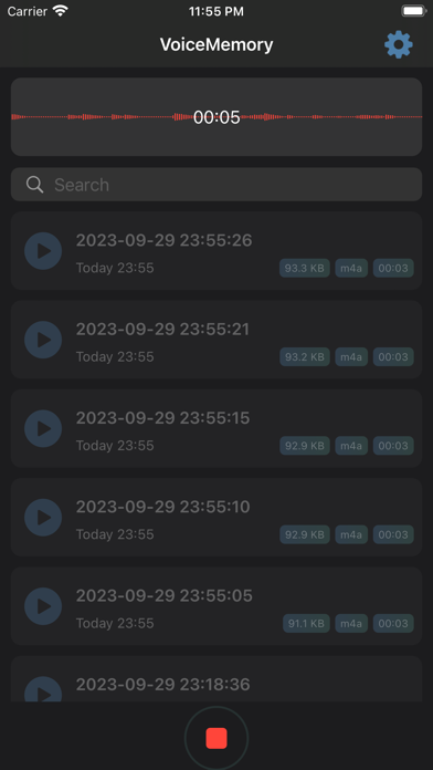 VoiceMemory Screenshot