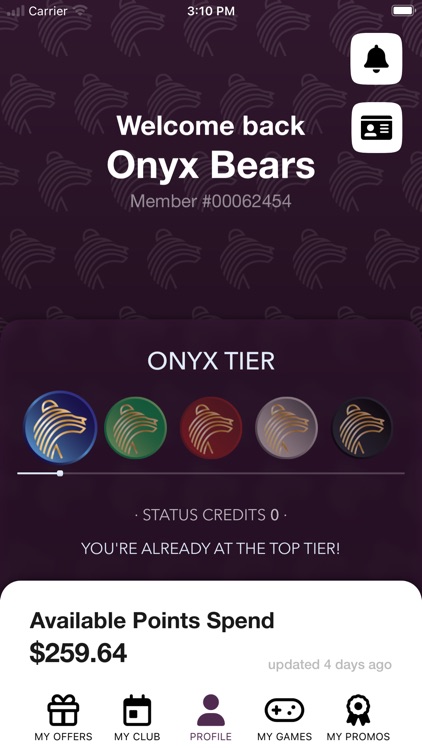 Burleigh Leagues & Sports