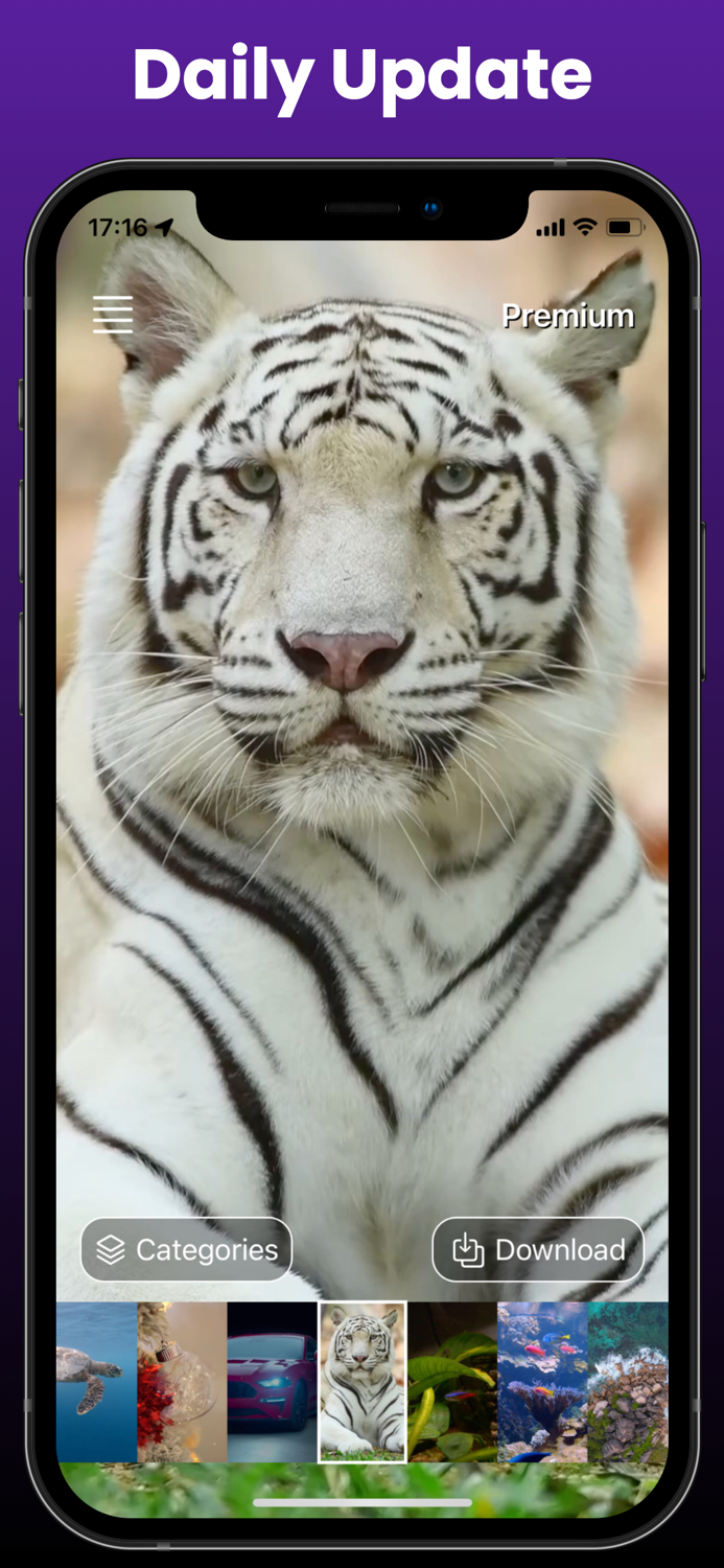 LuxWall Live Wallpapers