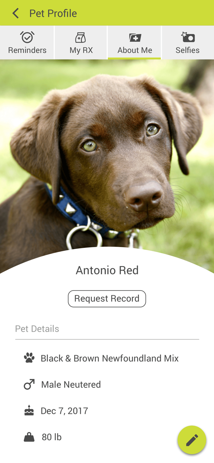 Milford Veterinary Clinic